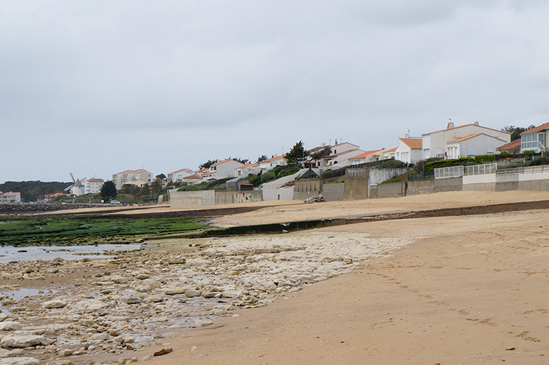 Marché de Jard sur Mer