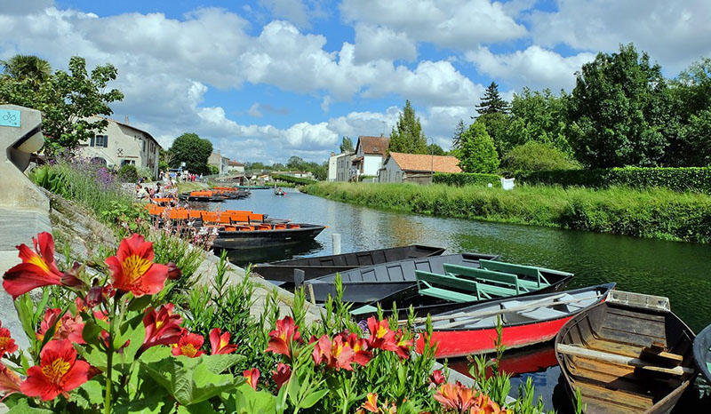 Marché de Coulon